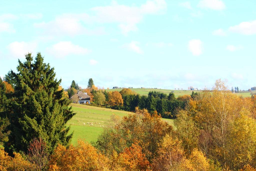 Les Alisiers Hotel Nadrin Luaran gambar